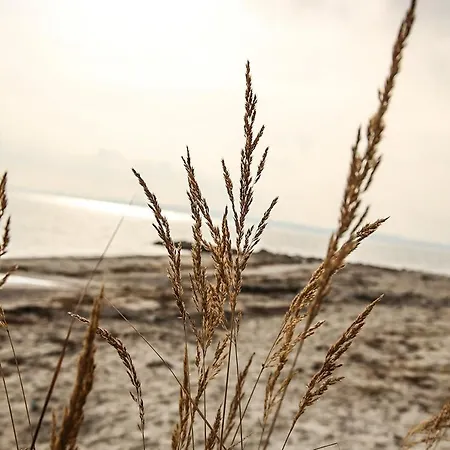 Strandpark H081 Casa de Férias Sierksdorf